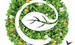 Giới thiệu nhà sáng lập Ecopark – 20 năm hành trình kiến tạo những không gian sống hoàn hảo