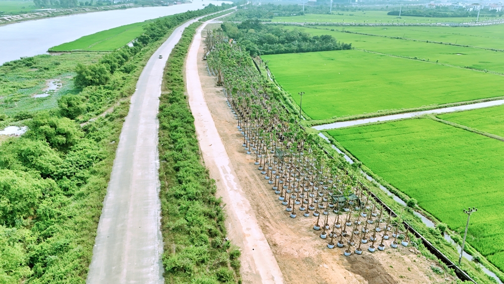 vườn ươm Eco Hoa Lư Ninh Bình (2)