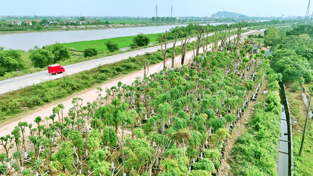hạ tầng xanh Ecopark Ninh Bình