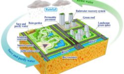 Đô thị bọt biển là gì? Eco Hoa Lư có được coi là đô thị bọt biển?